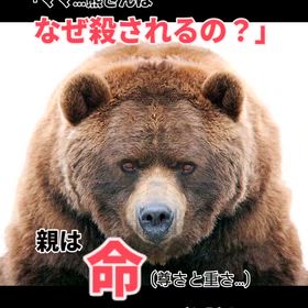 2025/11/07の画像