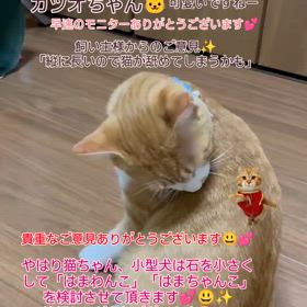 2024/07/26の画像