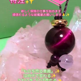 2025/02/25の画像