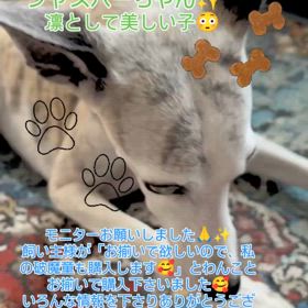 2024/08/01の画像