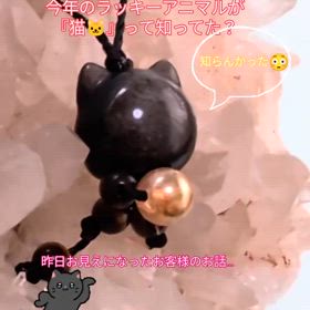 2025/06/21の画像