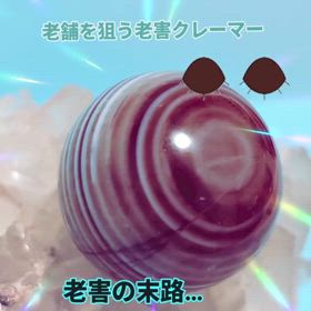 2025/09/05の画像