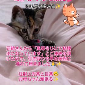 2025/06/12の画像