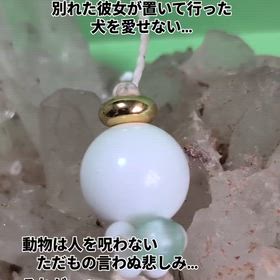 2025/10/22の画像