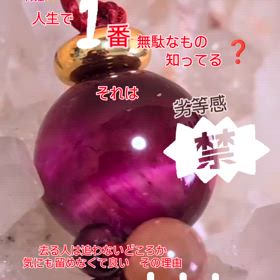 2024/11/08の画像