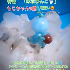 2024/08/10の画像