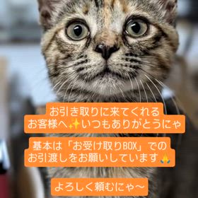 2025/08/06の画像