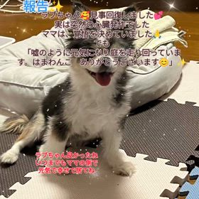 2024/08/27の画像
