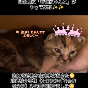 2025/05/02の画像