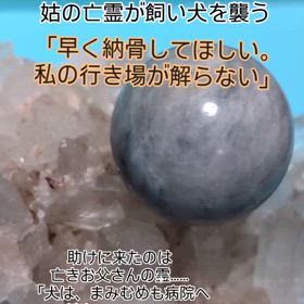 2025/03/18の画像