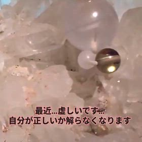 2025/10/09の画像