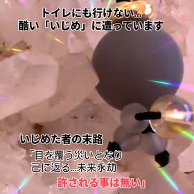 2025/11/28の画像