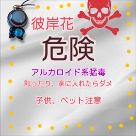 2024/10/14の画像