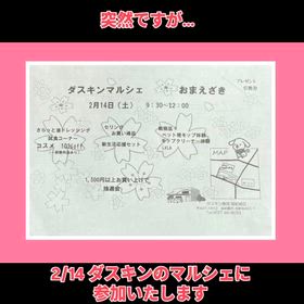 2026/02/11の画像