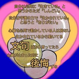 2024/06/05の画像