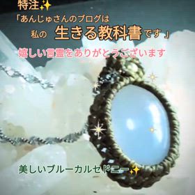2024/06/12の画像