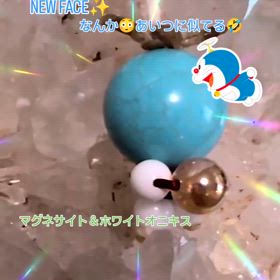 2024/11/27の画像