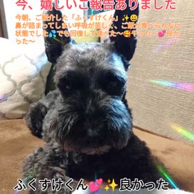 2024/08/18の画像