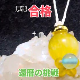 2025/11/09の画像