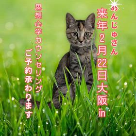 2025/09/11の画像