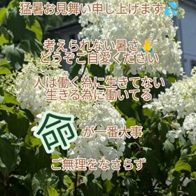 2024/07/07の画像