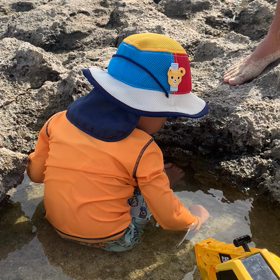 えいっ！えいっ！ヤドカリ投げの画像