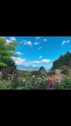 2025/07/22の記事動画