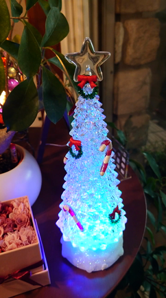 お気に入りのクリスマスツリーの記事動画