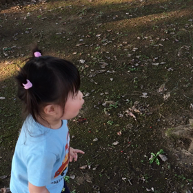 おおきくな〜れ❗️の画像