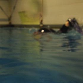 スキンダイビングの画像