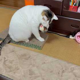 2023/02/25の画像