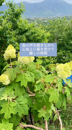 癒しは大切〜癒される場所〜の記事動画