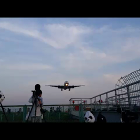 大阪伊丹空港✈✈✈✨の画像