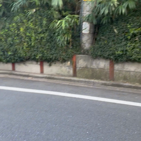 うぐいすの画像
