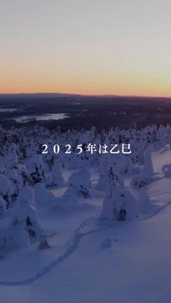 自然の原理を思い出しての記事動画
