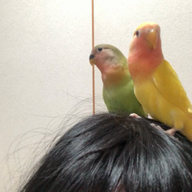 2020/02/23の画像