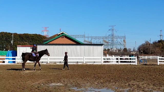 孫娘の乗馬：『Aux Champs Riding Team』で人生乗馬４鞍目を楽しみました。の記事動画
