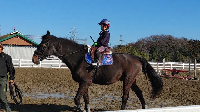 孫娘の乗馬：『Aux Champs Riding Team』で人生乗馬４鞍目を楽しみました。の記事動画