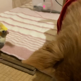 使えるものは何でも使え⁇の画像