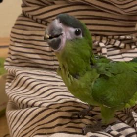 あけましておめでとうございます！！の画像