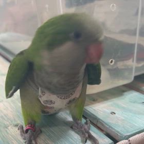 ゆっくりでいいから幸せになってね‼︎の画像