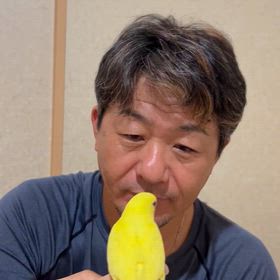 セキセイインコ。の画像