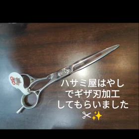 2024/07/07の画像