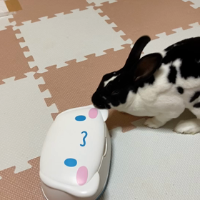 執念が凄い。の画像
