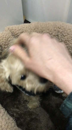 家族になろうよの記事動画