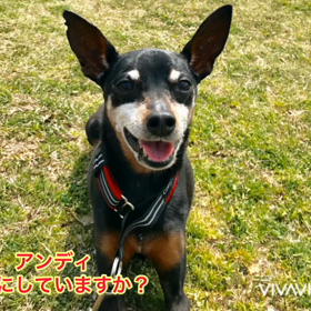 月命日の画像