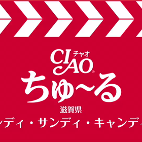 チャオちゅ～る動画の画像