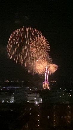 花火の記事動画
