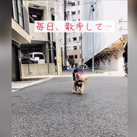 頑張ってるトトに感謝❣️の画像