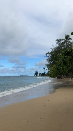 大好きな道沿いのビーチの記事動画